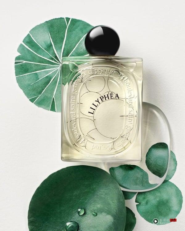 Diptyque香水推荐Top10：〈爵梦〉霸榜第一，持香度最高首选它、这款是隐藏热卖香 最新 图14张