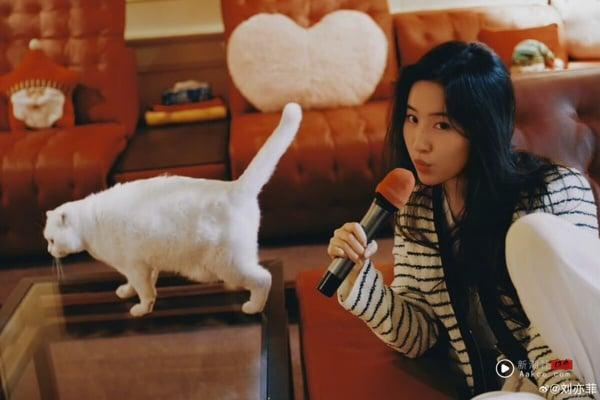 上升星座看长相来看看准不准！《成何体统》的她居然最像这个星座！