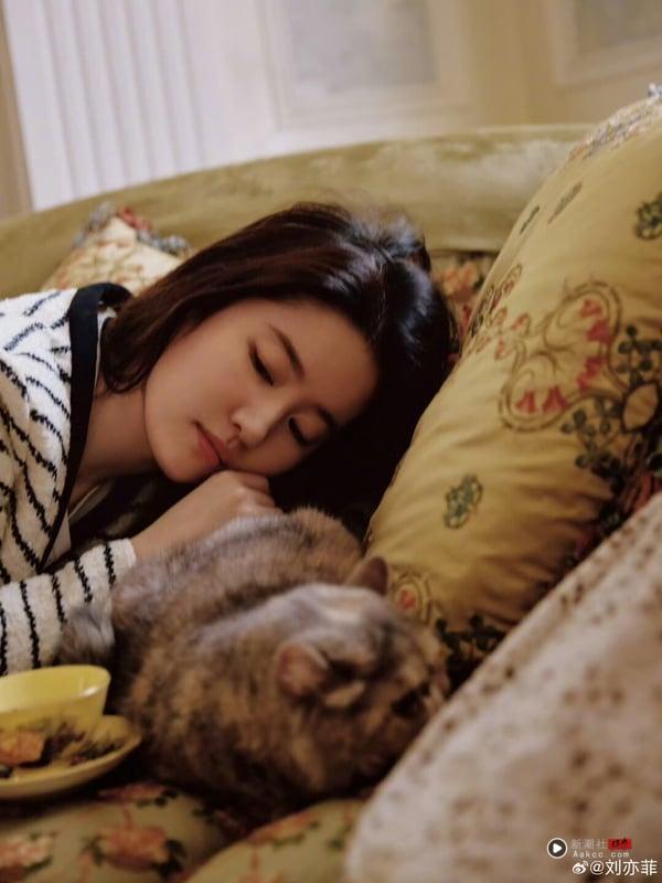 上升星座看长相来看看准不准！《成何体统》的她居然最像这个星座！