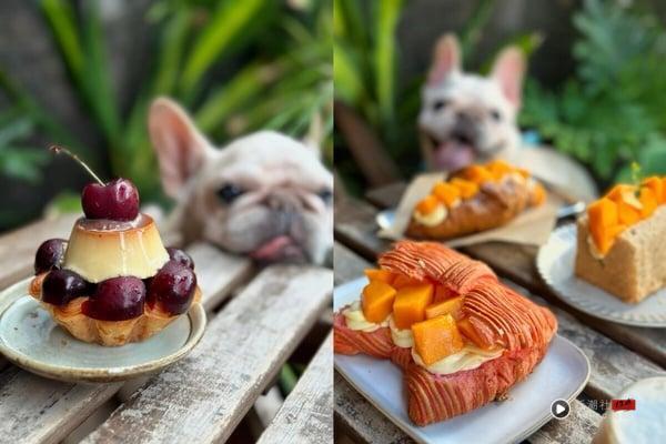 中山“不限时”咖啡厅推荐3：漫拾