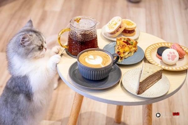 2025最新“中山咖啡厅”25间推荐：不限时、特色甜点、宠物友善一次看！