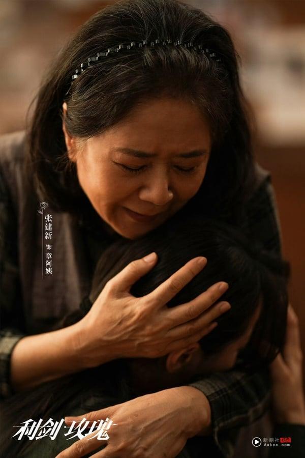 《利剑玫瑰》开放式结局反被赞爆！打击拐卖案创下5亿播放量，迪丽热巴获奖呼声高 娱乐 图3张