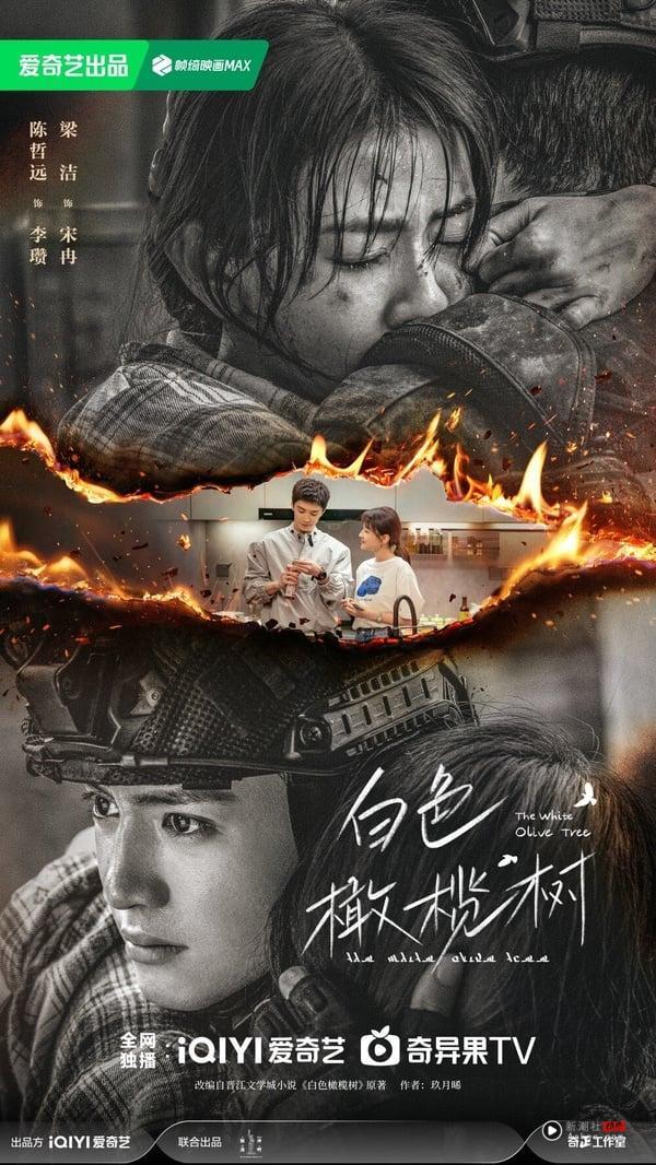 2025甜宠电视剧推荐25部！《难哄》《许我耀眼》必追，顾漫的小说大IP《骄阳似我》绝对火 娱乐 图10张