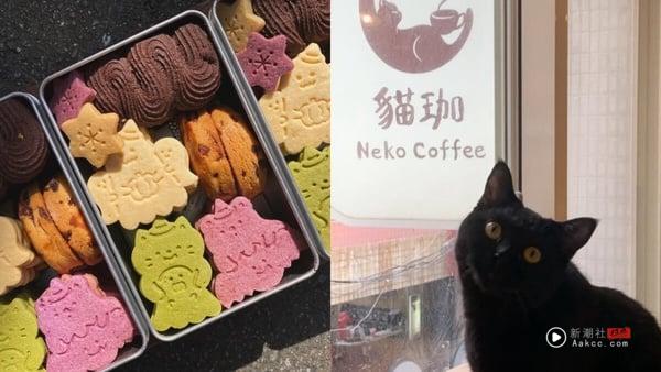 10间超萌台北猫咖推荐：在疗愈猫咪陪伴下喝咖啡、吃甜点，享受最疗愈午后时光！ 最新 图5张