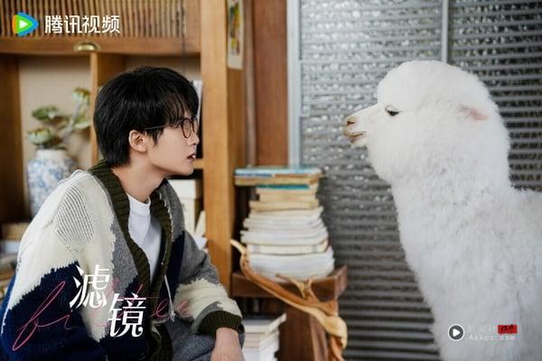 网评2025电视剧最迷人男主TOP10！不输《凡人修仙传》杨洋！《折腰》刘宇宁第4，冠军是他 娱乐 图8张