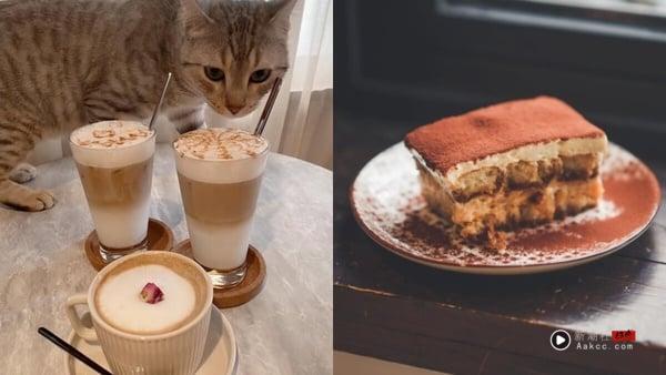 新竹咖啡厅推荐新竹咖啡厅推荐