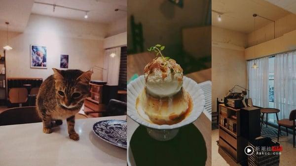 2025最新“汐止不限时咖啡厅”推荐