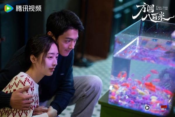 《子夜归》主演们的下部待播剧：田曦薇搭档全是男神等级，许凯三部剧面临换角危机？ 娱乐 图8张