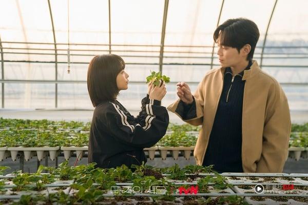 不像《梦想成为律师的律师们》烂尾！8部“第1集好看到最后1集”韩剧！这部结局封神了 娱乐 图6张