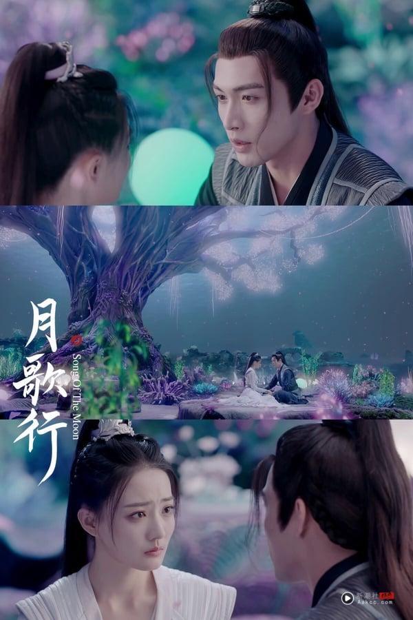 没《凡人修仙传》火但值得看！“冷门古装仙侠剧”评分榜TOP10！冠军7.0分远胜《献鱼》 娱乐 图3张
