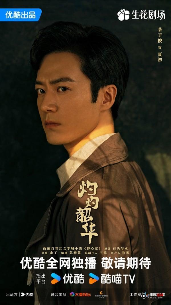 《灼灼韶华》剧情看点＆角色介绍：热依扎大秀爆发式演技，搭档杨祐宁逆袭成女企业家 娱乐 图11张