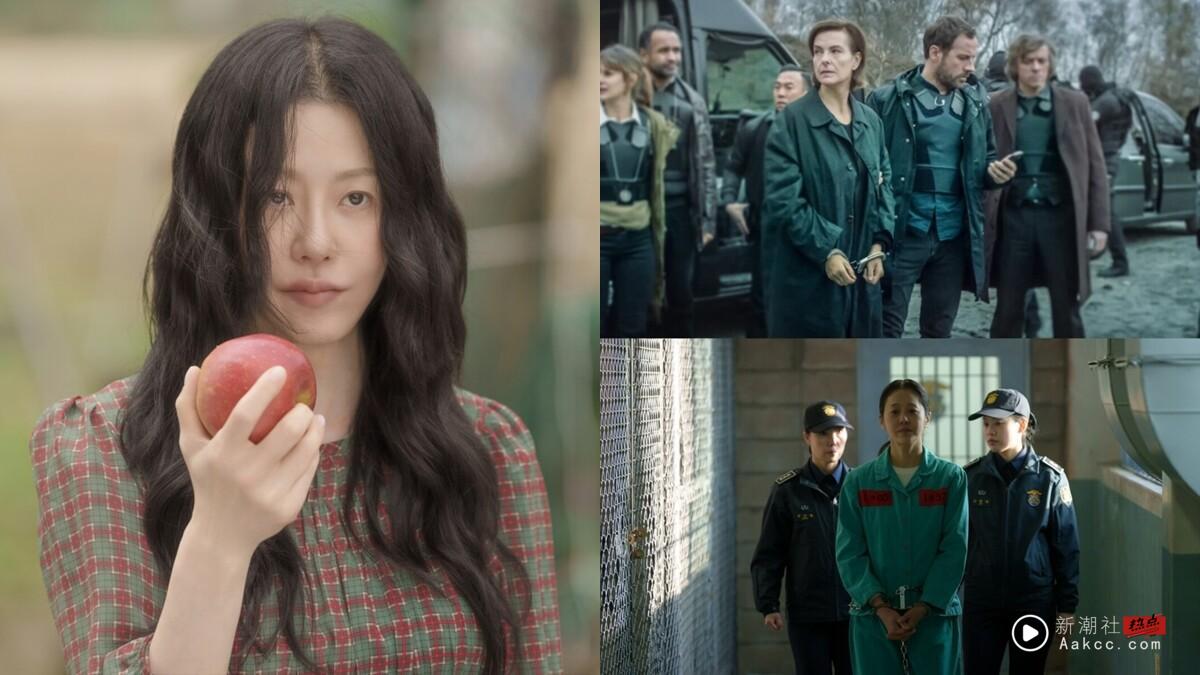 《家母螳螂》剧情看点+评价解析：高贤廷癫狂演技封神、反转不断，网评一追就停不下来