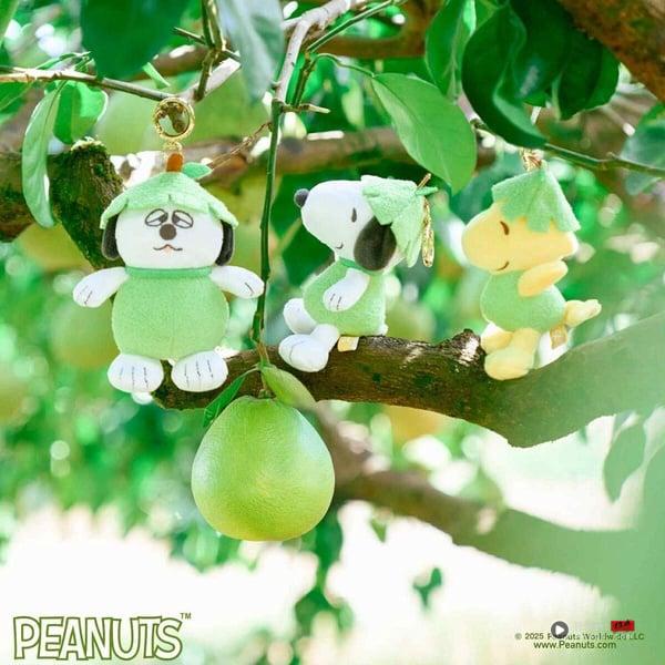 7-11“中秋柚子周边”可爱登场！史努比、欧拉夫、糊涂塌客柚子吊饰，三丽鸥柚子娃必收