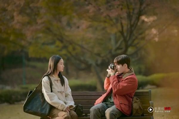 庆祝连假8部“一追就上瘾”Netflix韩剧！俊昊《台风商社》必追，这两部神剧公认一生推 娱乐 图6张