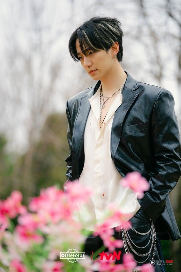 庆祝连假8部“一追就上瘾”Netflix韩剧！俊昊《台风商社》必追，这两部神剧公认一生推 娱乐 图1张