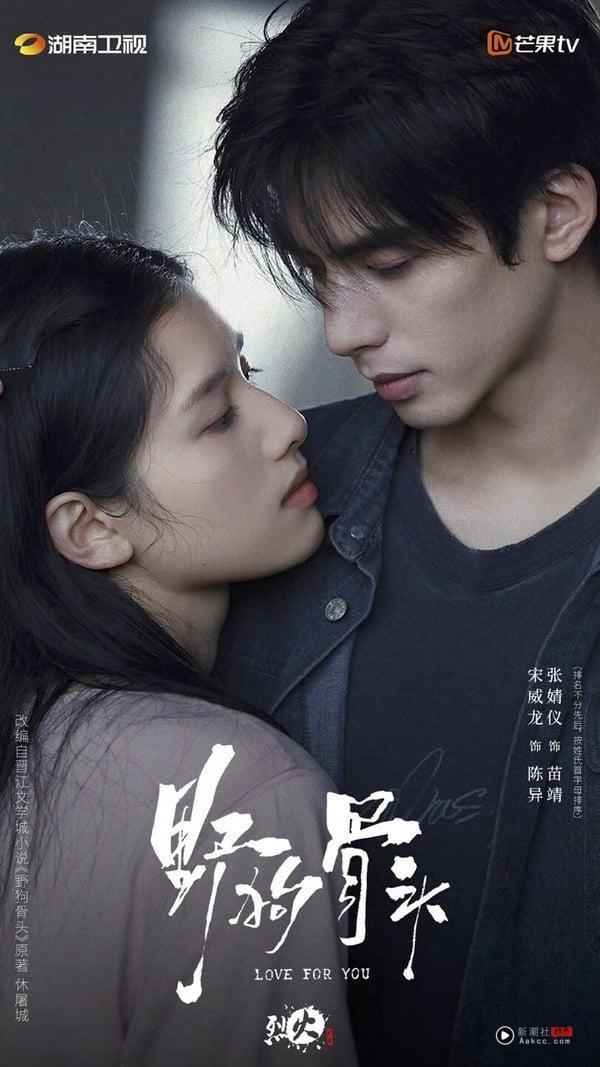 2025最新甜宠电视剧推荐22部！《折月亮》爆款预定，《野狗骨头》《不二之臣》是最大黑马