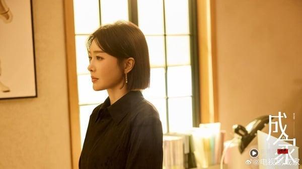 《成家》讲述秦天越被派遣至婚恋网站“牵手网”新收购的子公司任职经理，她与金牌顾问冯清鸣有着截然不同的工作理念。两人摩擦不断，却也慢慢克服了各种障碍，为不同身份、背景的客户寻找相亲对象，处理了相亲过程中形形色色的难题。