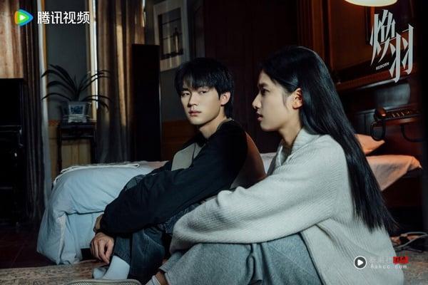 《焕羽》讲述16岁少女乔青羽一家，因姐姐乔白羽的死因饱受流言折磨，不得已搬家。乔青羽寻找着姐姐去世的真实原因，然而她的行为并没有让事情变好，反而让家庭濒临崩溃。在乔青羽最无助的时候，明盛默默地陪伴着她。最终乔青羽和家人和解，也与明盛走到了一起。