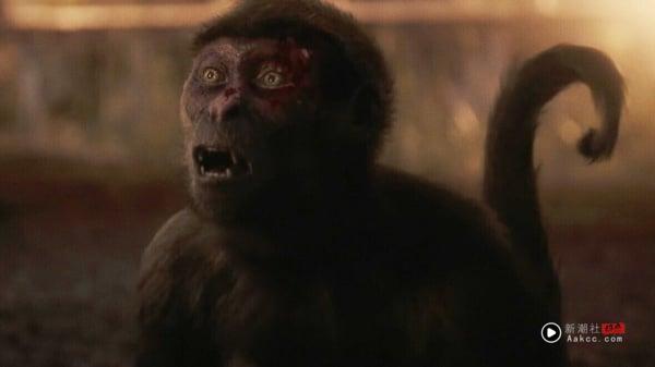 《回魂计》结局6个剧情细节!“真真醒来”象征诈骗没有尽头，“张士凯像猴子”也有玄机