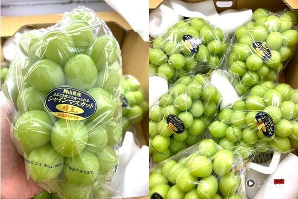日本“麝香葡萄”怎么挑？晴王、长野、山梨差异，价格、甜度解析