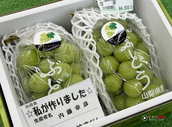 日本“麝香葡萄”怎么挑？麝香葡萄价格、甜度解析，晴王、长野、山梨差异