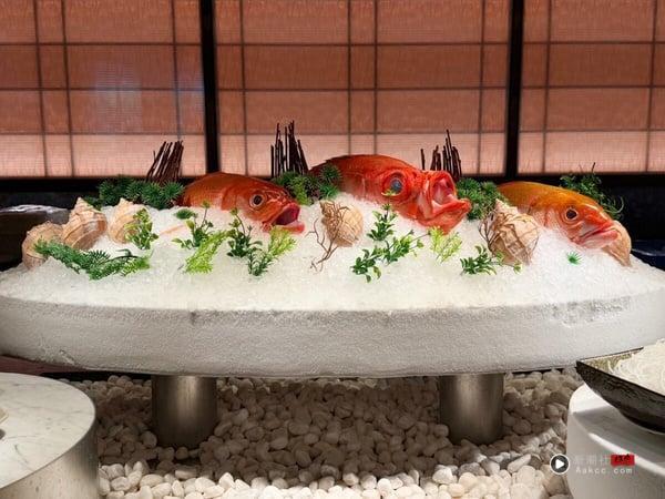 2025探索厨房吃到饱订位技巧！最新探索厨房价位、10大必吃推荐，帝王蟹、海胆吃到饱