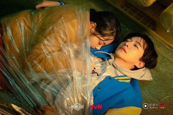 网推6部Netflix“不该错过”的超好看韩剧！《台风商社》神剧预警，第2部一面倒零负评 娱乐 图3张