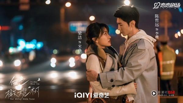 网评2025最爱的现偶甜宠电视剧TOP10！《许我耀眼》第四，《爱你》第二，冠军真超越不了 娱乐 图9张