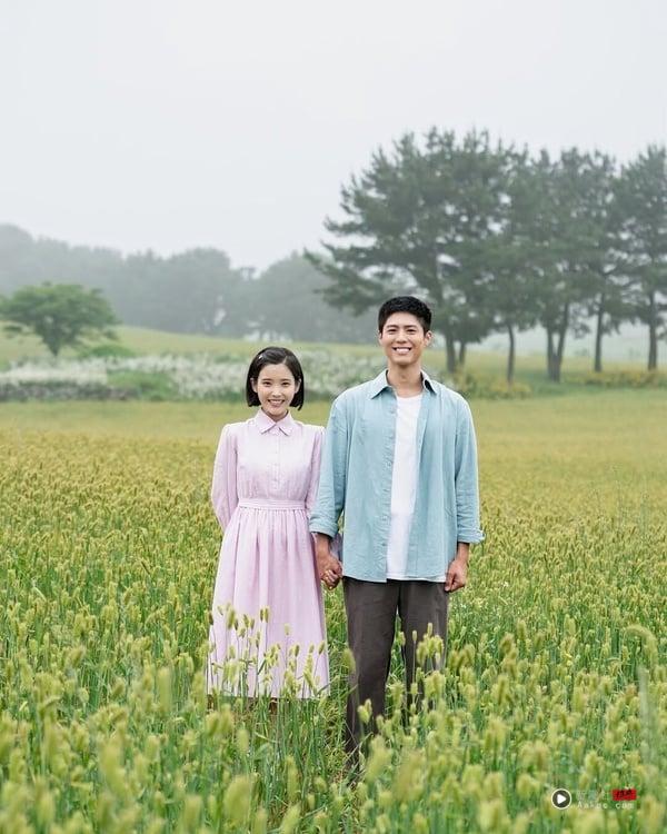 《台风商社》后继无力？8部“从头好看到底”韩剧！《苦尽柑来》必追，它是公认天花板 娱乐 图1张