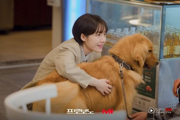 冬至后4生肖迎来人生拐点！贵人出手，财运事业全面爆发