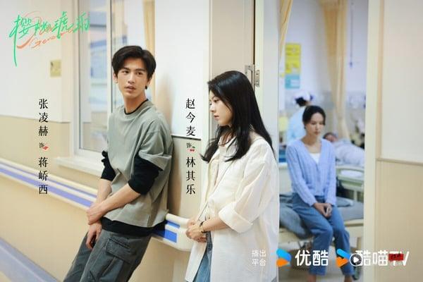 《樱桃琥珀》是2025年重磅甜宠剧，找来赵今麦、张凌赫二搭，又是打造过《知否》、《琅琊榜》的正午阳光出品，播出后评价却不佳。《樱桃琥珀》质感被网友吐槽土气，或许网友对“正午阳光”的招牌期待度太高了，播出后低于预期就被吐槽得很惨。