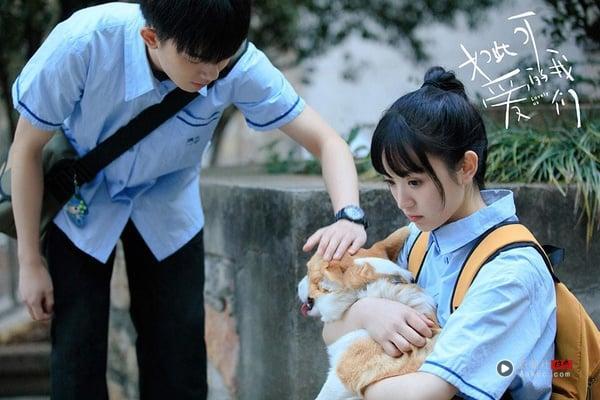 《如此可爱的我们》没追很可惜！豆瓣评分也高达8.0呢！这部同样是播得很默默的小透明网剧，没什么宣传，但看过的人都说好看，大多都是自来水剧迷，是部很甜又有质感的青春剧。