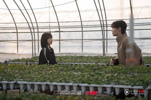 不输《一吻爆炸》《认罪之罪》！网评“追了停不下来”的韩剧TOP8！