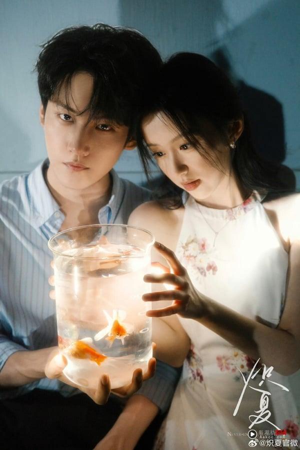 《炽夏》剧情看点&amp;amp;amp;amp;amp;amp;角色介绍
