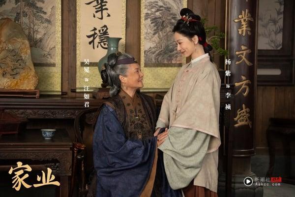 杨紫近年推出的古装剧都是高质感，最近的大女主经商剧《家业》也不例外！《家业》以制墨为背景，拍得很古色古香，人物群像立体，也有爽感打脸情节。如果是爱看《知否》、《那年花开月正圆》那种大宅群像剧，或许也会喜欢《家业》。真的可以追！
