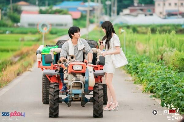 近期Netflix中国台湾“观看排行”TOP10！《背着善宰跑》上榜，《翘楚》第二，冠军真的火！
