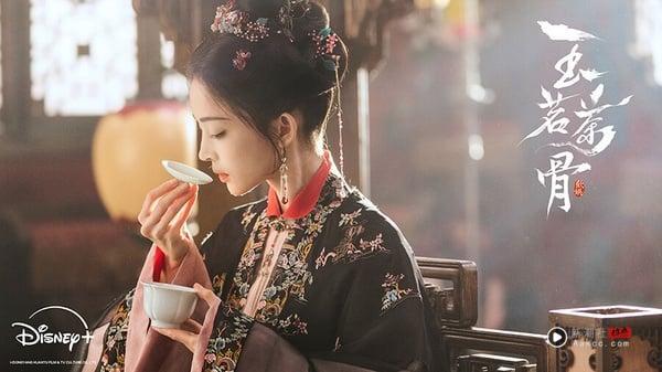 《玉茗茶骨》是《延禧攻略》制作人于正又推出的大女主剧，于正特别会拍这种家宅群像，好几部都让人欲罢不能！《玉茗茶骨》剧情逻辑不能深思，但情节丰富，结合了长剧的质感和短剧的优点，主打男人宅斗、女人商战。《玉茗茶骨》像《延禧攻略》一样，第一集就有爽感满满的大女主剧情。