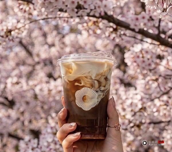2026 花火禾茶菜单推荐！网评必喝Top10、最新菜单＆价格一次看