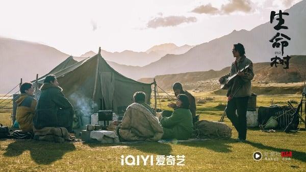 《生命树》是超强黄金阵容，找来杨紫、胡歌搭档，而且是《琅琊榜》其中一位导演及正午阳光出品，班底完全是最高等级。《生命树》是以青藏高原为背景的故事，拍摄画面磅礡大气，拍摄质感不错，角色群像立体。不过这部剧比较挑观众，不是大家爱看的偶像剧题材。《生命树》豆瓣开出8.4的高分。