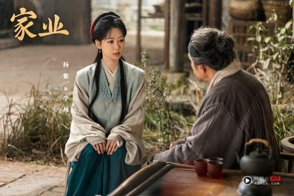 杨紫《家业》是高质感精品剧，以制墨为背景的经商剧。虽然大女主逆袭经商的套路让人联想到《国色芳华》，但这种套路就是好看啊！《家业》拍得很古色古香，色调运镜大气有质感，人物刻划很立体，剧中对于制墨、传承的刻划很深刻，是好评剧！