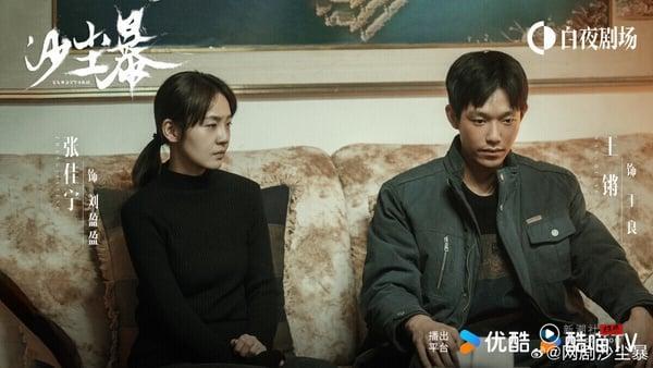 《沙尘暴》是部很冷门的悬疑剧，剧情从2004年一桩“锅炉焚尸案”展开，节奏紧凑，人物鲜明，没有太多血腥暴力的画面，但悬疑氛围塑造得很到位，人物一环扣一环，慢慢拼凑出真相，剧里小人物的命运会让人很感慨。