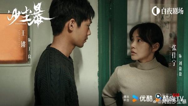 《沙尘暴》是部很冷门的悬疑剧，剧情从2004年一桩“锅炉焚尸案”展开，节奏紧凑，人物鲜明，没有太多血腥暴力的画面，但悬疑氛围塑造得很到位，人物一环扣一环，慢慢拼凑出真相，剧里小人物的命运会让人很感慨。