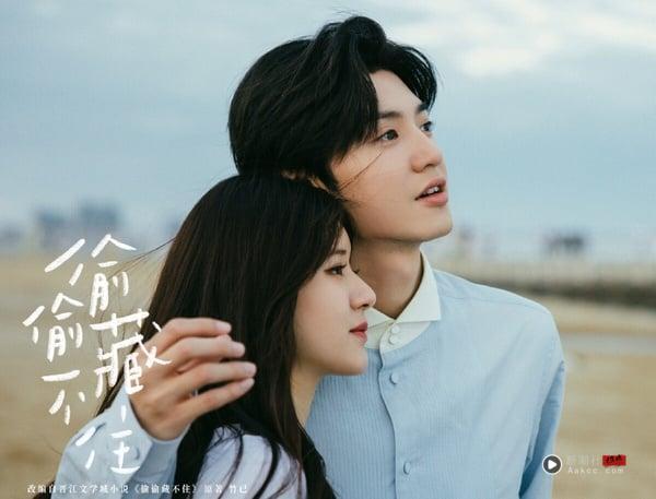 《偷偷藏不住》虽然没有达到像《微微一笑很倾城》、《亲爱的，热爱的》那么爆的程度，但近年电视剧普遍积弱不振，其中《偷偷藏不住》算是成绩很好的现偶电视剧，在各大串流平台成绩都很好。