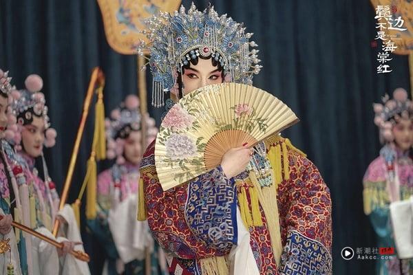 《鬓边不是海棠红》让人很惊喜，一开始大家都对该剧抱持观望的态度，因为民中国台湾电视剧本来就不吃香，再加上演技老是被吐槽的黄晓明，所以大家期待值并不高。可是追过后大家都改观了！黄晓明终于不油了，他演的霸道总裁意外好嗑，和尹正的CP组也超可爱。