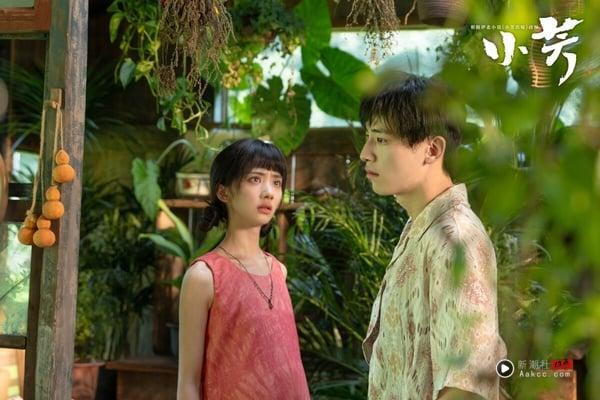 《小芳》是一部乡村偶像剧，讲述杨小芳与同村青年祁小伟恋爱，未婚先孕。结婚前两家谈崩，怎奈肚子里的孩子即将出世，小芳不知何去何从……小芳被“甩”的消息传了出去。很快，媒人们踏破门槛，方圆几十里的光棍不介意小芳有孕在身，抢着接盘。小芳眼看临盆，是跟小伟重修旧好？还是嫁与他人？慢慢地，她发现身边之人似乎都有难言之隐……