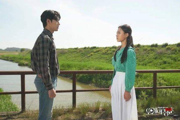 《金特务》太拖戏？8部“好看到不想弃剧”Netflix韩剧！《铁拳教育》必追，这部零负评