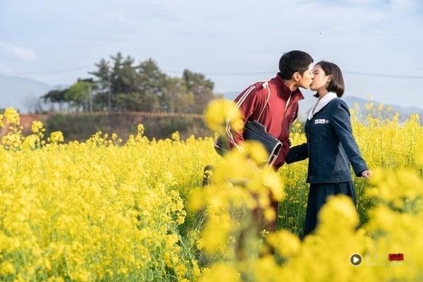 《苦尽柑来遇见你》由曾打造《信号》、《我的大叔》的名导金元锡执导，并邀请到IU、朴宝剑、文素利、朴海俊主演。该剧以“四季”形式讲述于1950年代济州岛出生的“吴爱纯”和“梁宽植”一生的故事。