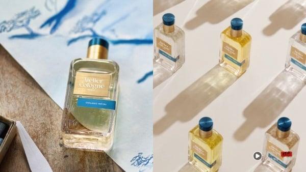 2026“夏天中性香水”入门推荐！Threads网友激推，清新耐闻不刺鼻、好感度超高！