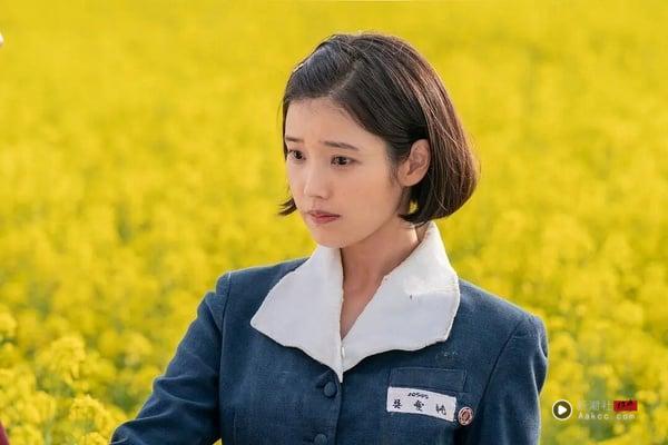 苏志燮《金特务》烂尾挨轰！8部“真正一面倒好评”韩剧！这部8.8分冷门好剧“一生推”