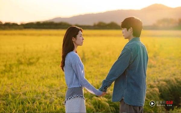 Netflix新剧《我的荒糖恋爱》6大剧情看点、角色介绍：丁海寅与贺营共谱高甜谎言罗曼史